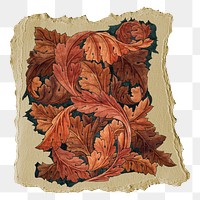 Png William Morris's acanthus sticker, vintage illustration on ripped paper, transparent background