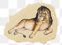 Png lion sticker, Oliver Goldsmith's vintage illustration on ripped paper, transparent background