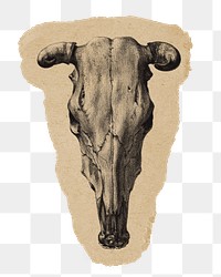 Png Skull of a cow sticker, vintage illustration on ripped paper, transparent background