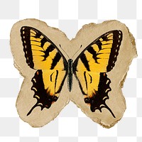 Png butterfly sticker, vintage insect illustration on ripped paper, transparent background