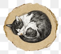 Png sleeping cat sticker, Jean Bernard's vintage illustration on ripped paper, transparent background