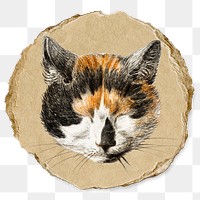 Png cat's head with closed eyes sticker, Jean Bernard's vintage illustration on ripped paper, transparent background