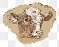 Png cow head sticker, farm animal vintage illustration on ripped paper, transparent background