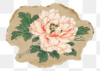 Png pink rose sticker, flower vintage illustration on ripped paper, transparent background