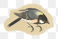 Png Ohara Koson's bird sticker, vintage illustration on ripped paper, transparent background