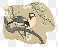 Png Ohara Koson's bird sticker, vintage illustration on ripped paper, transparent background