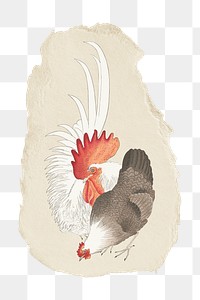 Png Ohara Koson's chicken sticker, japanese  vintage illustration on ripped paper, transparent background