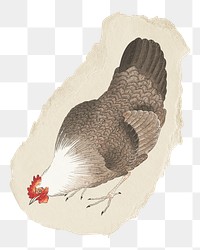 Png chicken sticker, Ohara Koson's vintage illustration on ripped paper, transparent background