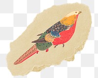 Png Golden Pheasant sticker, Ito Jakuchu's vintage illustration on ripped paper, transparent background