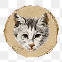 Png cat's head sticker, Jean Bernard's vintage illustration on ripped paper, transparent background