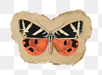 Png butterfly sticker, vintage insect illustration on ripped paper, transparent background