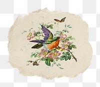 Png birds and flowers sticker, vintage illustration on ripped paper, transparent background