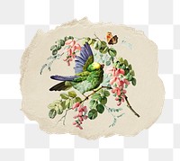 Png birds and flowers sticker, vintage illustration on ripped paper, transparent background