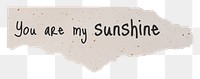 Love quote png, DIY torn paper, you are my sunshine, transparent background