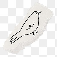 Cute bird png sticker, ripped paper doodle, transparent background