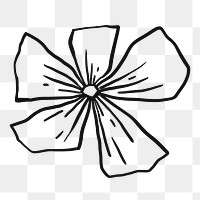 Flower png doodle, cute illustration, transparent background