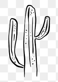 Cactus png doodle, cute illustration, transparent background