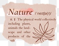 Nature png dictionary word sticker, typography in pink aesthetic, transparent background