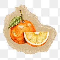 Orange fruit png sticker, ripped paper, transparent background