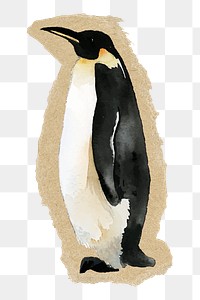 Penguin animal png sticker, ripped paper, transparent background