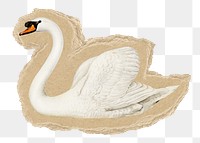 Swan bird png sticker, ripped paper, transparent background