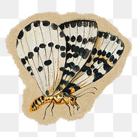 Vintage butterfly png sticker, ripped paper, transparent background