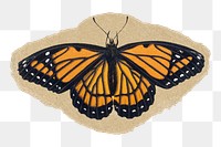 Monarch butterfly png sticker, ripped paper, transparent background