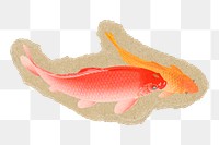Carp fish png sticker, ripped paper, transparent background