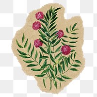 Shameplant png sticker, ripped paper, transparent background