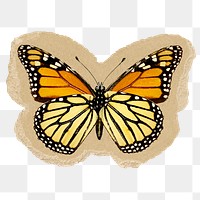 Monarch butterfly png sticker, ripped paper, transparent background