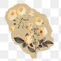 Vintage flowers png sticker, ripped paper, transparent background
