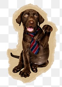 Dog wearing ties png sticker, ripped paper, transparent background