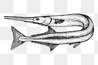 Needlefish png sticker illustration, transparent background. Free public domain CC0 image.
