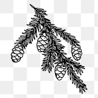 Hemlock png sticker, vintage plant illustration, transparent background. Free public domain CC0 image.