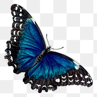 Butterfly png sticker, vintage insect illustration, transparent background. Free public domain CC0 image.