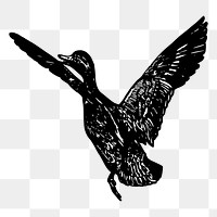 Flying goose png sticker, vintage animal illustration, transparent background. Free public domain CC0 image.