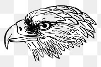 Snake eagle png sticker, vintage animal illustration, transparent background. Free public domain CC0 image.
