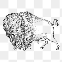 Bison animal png sticker illustration, transparent background. Free public domain CC0 image.