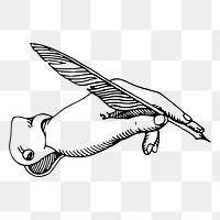Feather pen png sticker illustration, transparent background. Free public domain CC0 image.