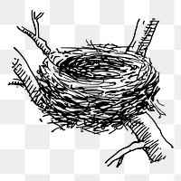 Bird's nest png sticker illustration, transparent background. Free public domain CC0 image.