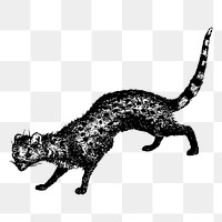 Civet animal png sticker illustration, transparent background. Free public domain CC0 image.