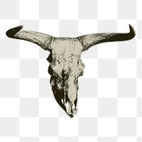 Bison skull png sticker illustration, transparent background. Free public domain CC0 image.