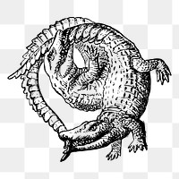 Two crocodiles png sticker illustration, transparent background. Free public domain CC0 image.