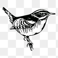 Perched bird png sticker illustration, transparent background. Free public domain CC0 image.