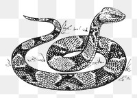 Copperhead snake png sticker illustration, transparent background. Free public domain CC0 image.