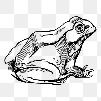 Frog png sticker illustration, transparent background. Free public domain CC0 image.