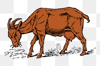 Brown goat png sticker illustration, transparent background. Free public domain CC0 image.