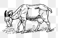 Brown goat png sticker illustration, transparent background. Free public domain CC0 image.