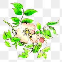 Flower png sticker illustration, transparent background. Free public domain CC0 image.