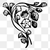 Flower png sticker illustration, transparent background. Free public domain CC0 image.